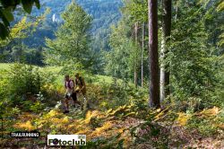 2022-08-20 - ART_5140